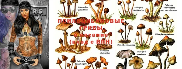 спайс Заволжье